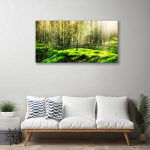 Quadro stampa su tela Muschio della foresta naturale 100x50 cm