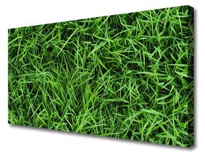 Quadro stampa su tela L'erba Il prato 100x50 cm