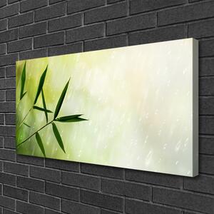 Foto quadro su tela Foglie di pioggia 100x50 cm
