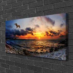 Quadro su tela Paesaggio della spiaggia del mare del gabbiano 100x50 cm