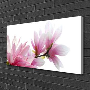 Foto quadro su tela Fiore di magnolia 100x50 cm