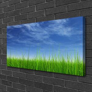 Quadro stampa su tela Cielo, erba, natura 100x50 cm