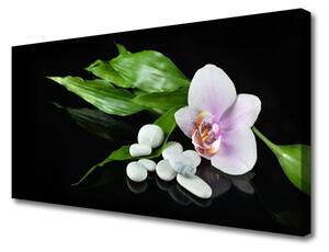 Quadro su tela Foglie di pietre di fiori 100x50 cm