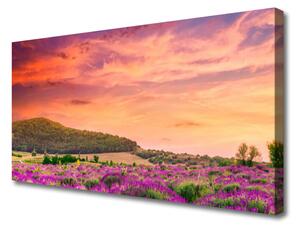 Quadro su tela Paesaggio di fiori di prato 100x50 cm