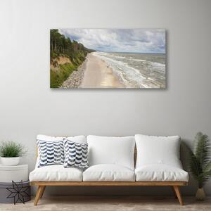 Quadro su tela Spiaggia, mare, albero, natura 100x50 cm