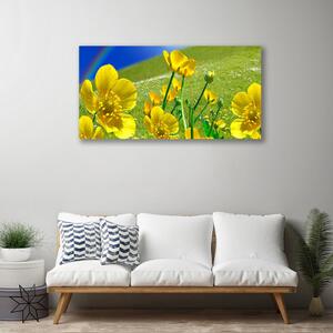 Quadro su tela Prato, fiori, arcobaleno, natura 100x50 cm