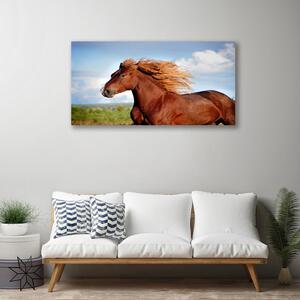 Stampa quadro su tela Animali da cavallo 100x50 cm