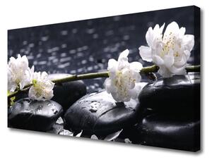 Quadro su tela Pietre di fiori 100x50 cm