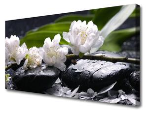 Stampa quadro su tela Pietre di fiori 100x50 cm