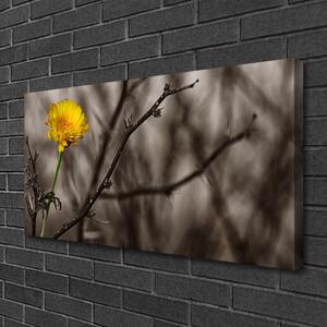 Stampa quadro su tela Ramo di fiore 100x50 cm
