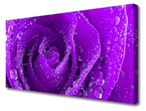 Quadro su tela Pianta di fiori di rosa 100x50 cm
