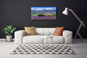 Quadro su tela Prato fiori paesaggio di montagna 100x50 cm