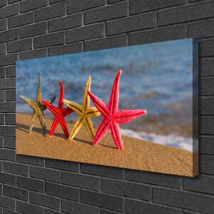 Quadro su tela Arte della stella marina della spiaggia 100x50 cm