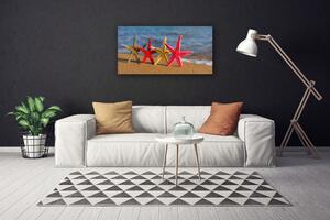 Quadro su tela Arte della stella marina della spiaggia 100x50 cm