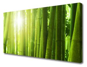 Quadro su tela La pianta di bambù 100x50 cm