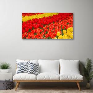 Quadro su tela Fiori di tulipani 100x50 cm