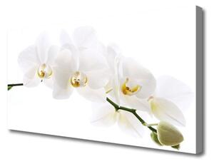 Quadro su tela Fiori di orchidea 100x50 cm