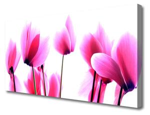 Quadro su tela I fiori della pianta 100x50 cm