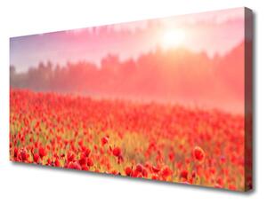 Quadro stampa su tela Prato, fiori, natura 100x50 cm