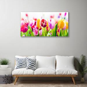 Foto quadro su tela Fiori di tulipani 100x50 cm