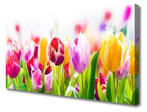 Foto quadro su tela Fiori di tulipani 100x50 cm
