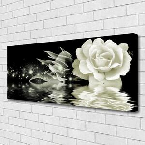 Quadro su tela Pianta di fiori di rosa 100x50 cm