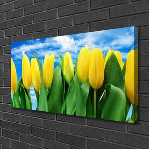 Quadro su tela Fiori di tulipani 100x50 cm