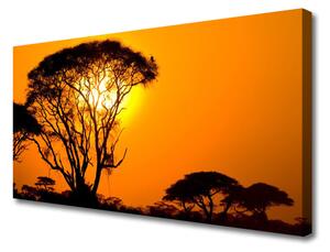 Quadro su tela Gli alberi del sole La natura 100x50 cm