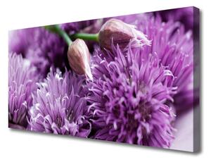 Quadro stampa su tela I fiori della pianta 100x50 cm