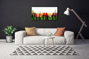 Quadro su tela Tulipani Pianta 100x50 cm