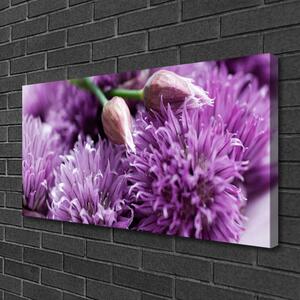 Quadro stampa su tela I fiori della pianta 100x50 cm