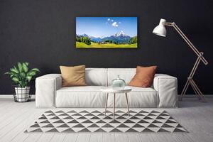 Quadro su tela Paesaggio di montagna di campi di alberi 100x50 cm