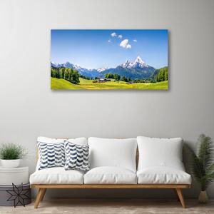 Quadro su tela Paesaggio di montagna di campi di alberi 100x50 cm