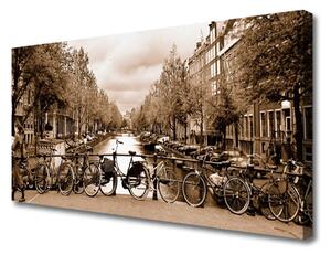 Foto quadro su tela Paesaggio degli alberi della bicicletta del fiume 100x50 cm