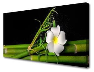 Quadro su tela Pianta di fiori di bambù 100x50 cm