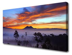 Quadro su tela Paesaggio degli alberi di nebbia 100x50 cm