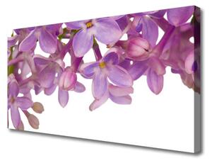Quadro su tela I fiori della pianta 100x50 cm