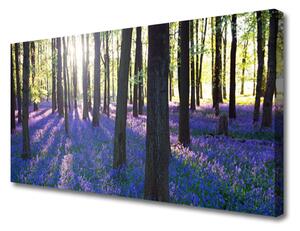 Stampa quadro su tela Foresta dell'albero della natura 100x50 cm