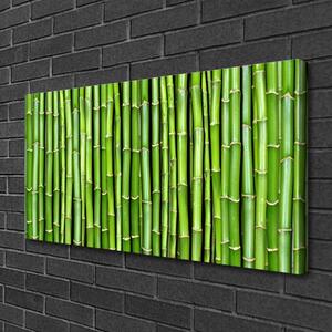 Quadro su tela Pianta di fiori di bambù 100x50 cm