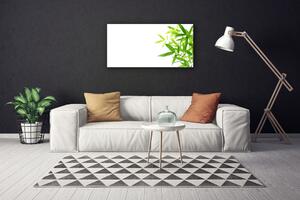 Stampa quadro su tela Foglie di piante naturali 100x50 cm