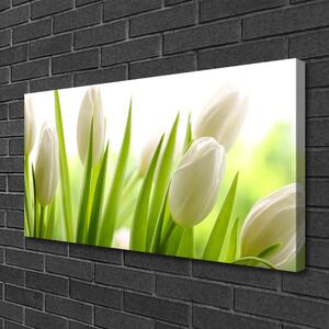 Quadro stampa su tela Fiori di tulipani 100x50 cm