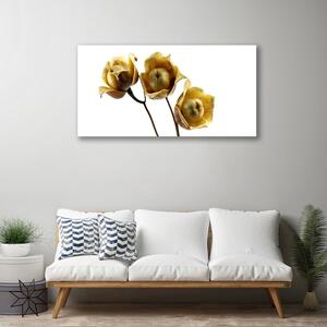 Foto quadro su tela I fiori della pianta 100x50 cm