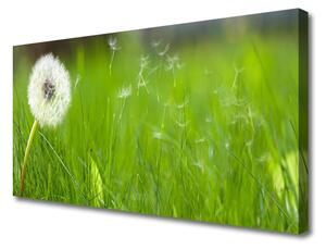 Quadro su tela Pianta di erba di tarassaco 100x50 cm