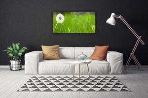Quadro su tela Pianta di erba di tarassaco 100x50 cm