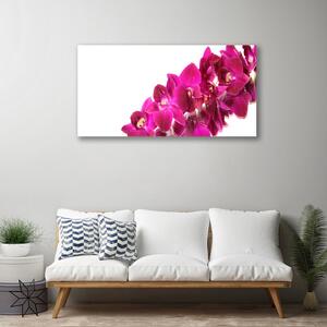 Foto quadro su tela Fiori, piante, natura 100x50 cm