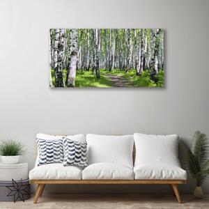 Stampa quadro su tela Alberi del percorso della natura della foresta 100x50 cm