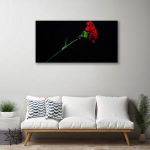 Quadro stampa su tela Fiore, pianta, natura 100x50 cm
