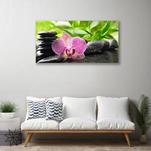 Stampa quadro su tela Pianta di pietre di fiori 100x50 cm