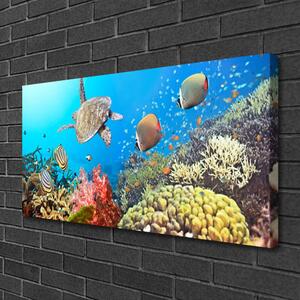 Stampa quadro su tela Paesaggio della barriera corallina 100x50 cm