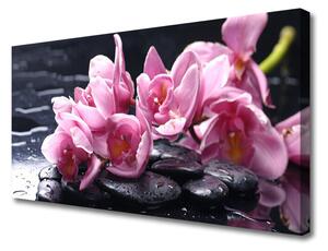 Quadro su tela Pianta dell'orchidea del fiore 100x50 cm